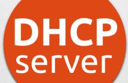 DHCPOption是什么，分别包含了哪些字段和信息？